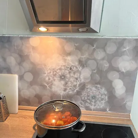 شقة Penthouse Feeling Mannheim لودويغشافن ام ري